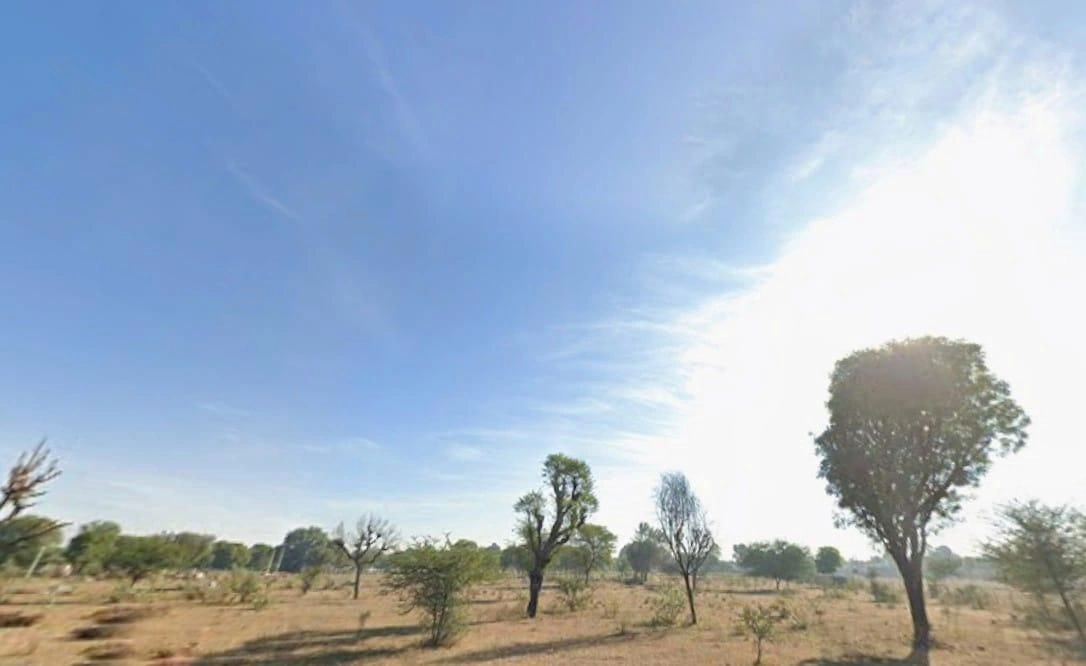 RJQG+X68, Theekariya, Rajasthan, India preview 3