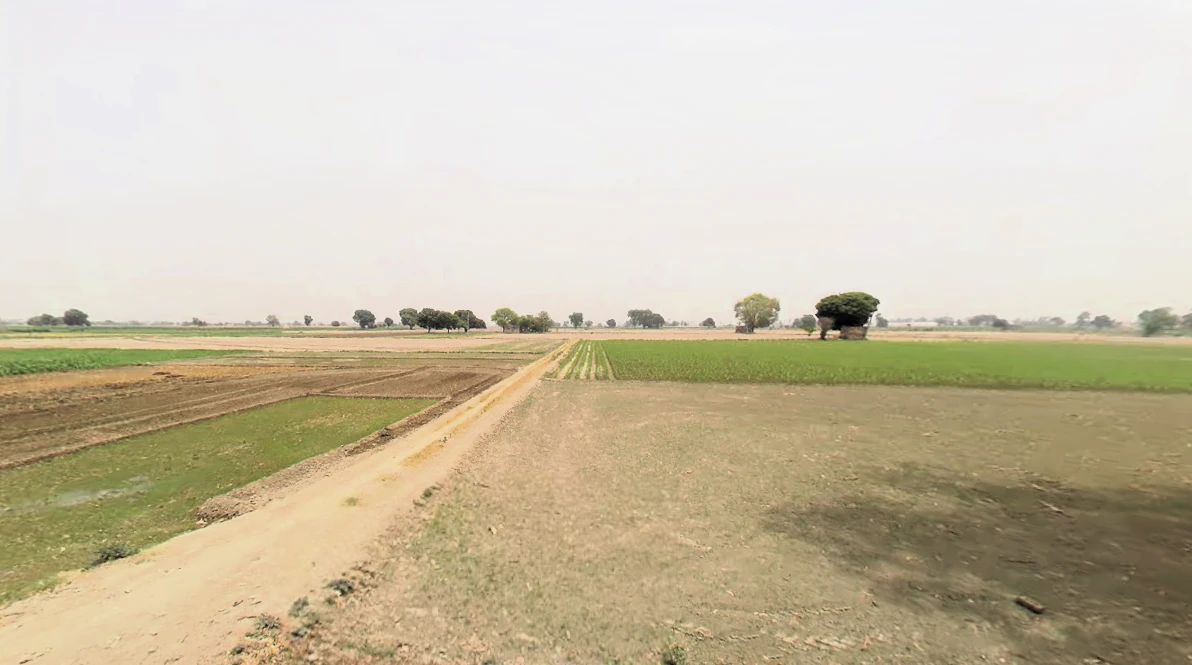 Bazidpur Saboli, Haryana 131029, India