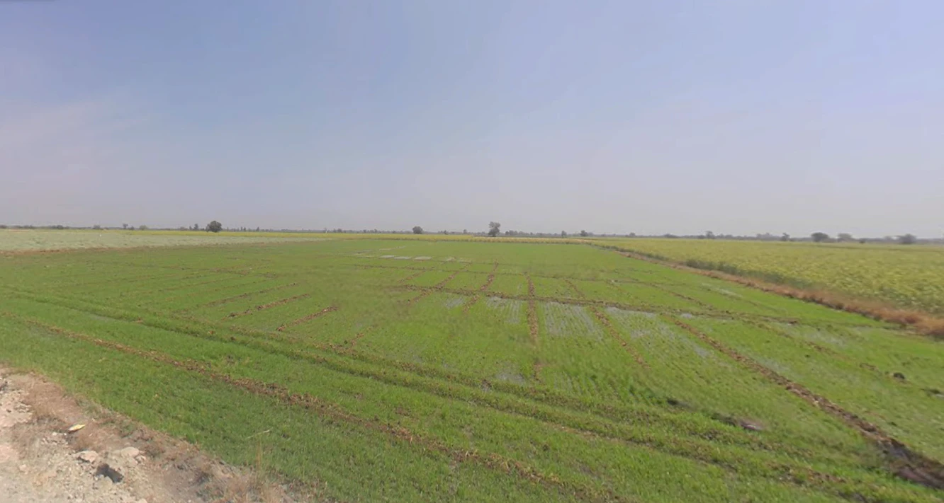 Varana, Gujarat 384245, India