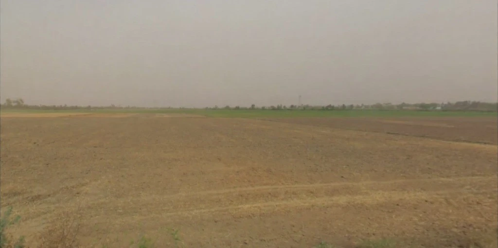 Lohsinghani, Haryana, India