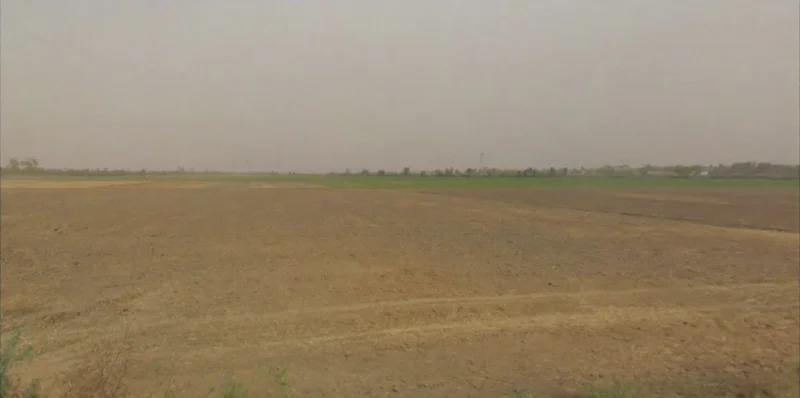 Lohsinghani, Haryana, India preview 2