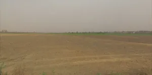 Lohsinghani, Haryana, India preview 2