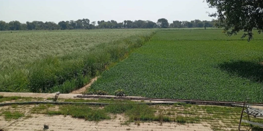 6H59+VQM, Rewari, Khargwas, Haryana 123401, India