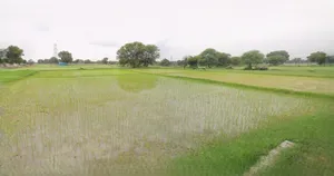 Nuh, Haryana, India preview 3