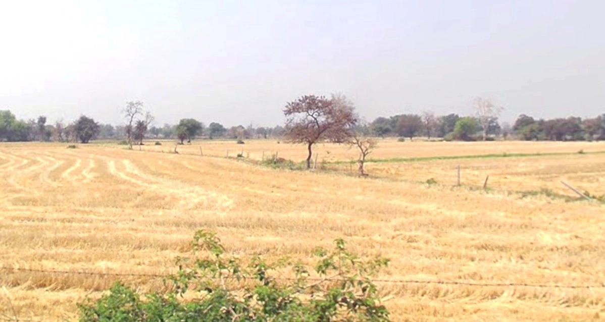 Maksi, Madhya Pradesh, India