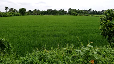 Chamrawal, Baghpat, Uttar Pradesh, India preview 2