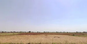 MQFQ+55W, Shekhpur, Rajasthan, India preview 3