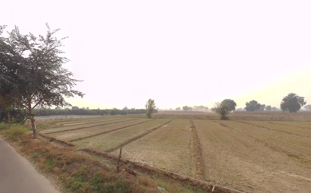 Bhattu Mandi, Haryana 125053, India