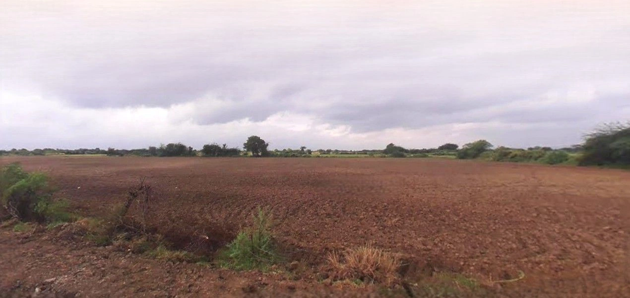 Bazpur, Uttarakhand 262401, India