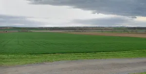 Rania, Uttar Pradesh, India preview 2