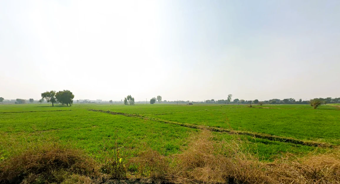 Sector-21, Rohtak, Haryana, India