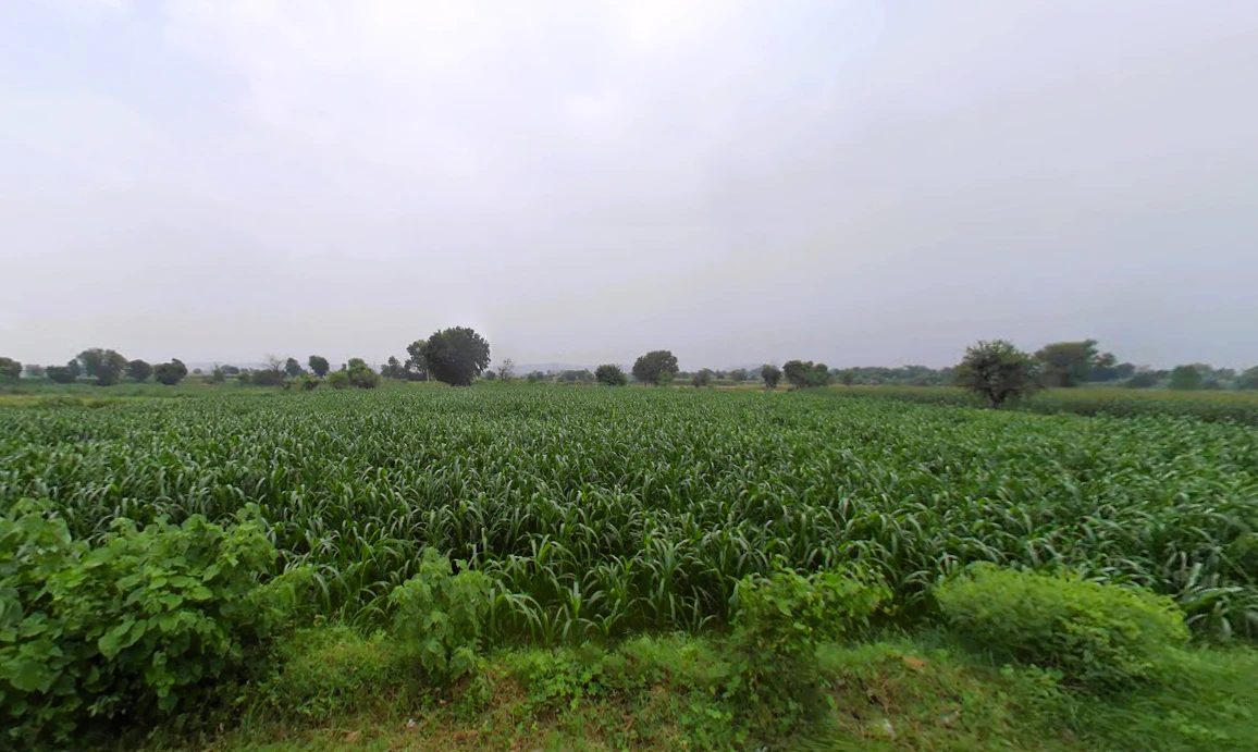 Tijara, Rajasthan 301411, India