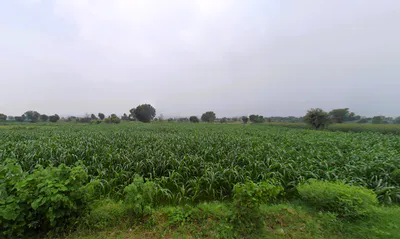 Tijara, Rajasthan 301411, India preview 3