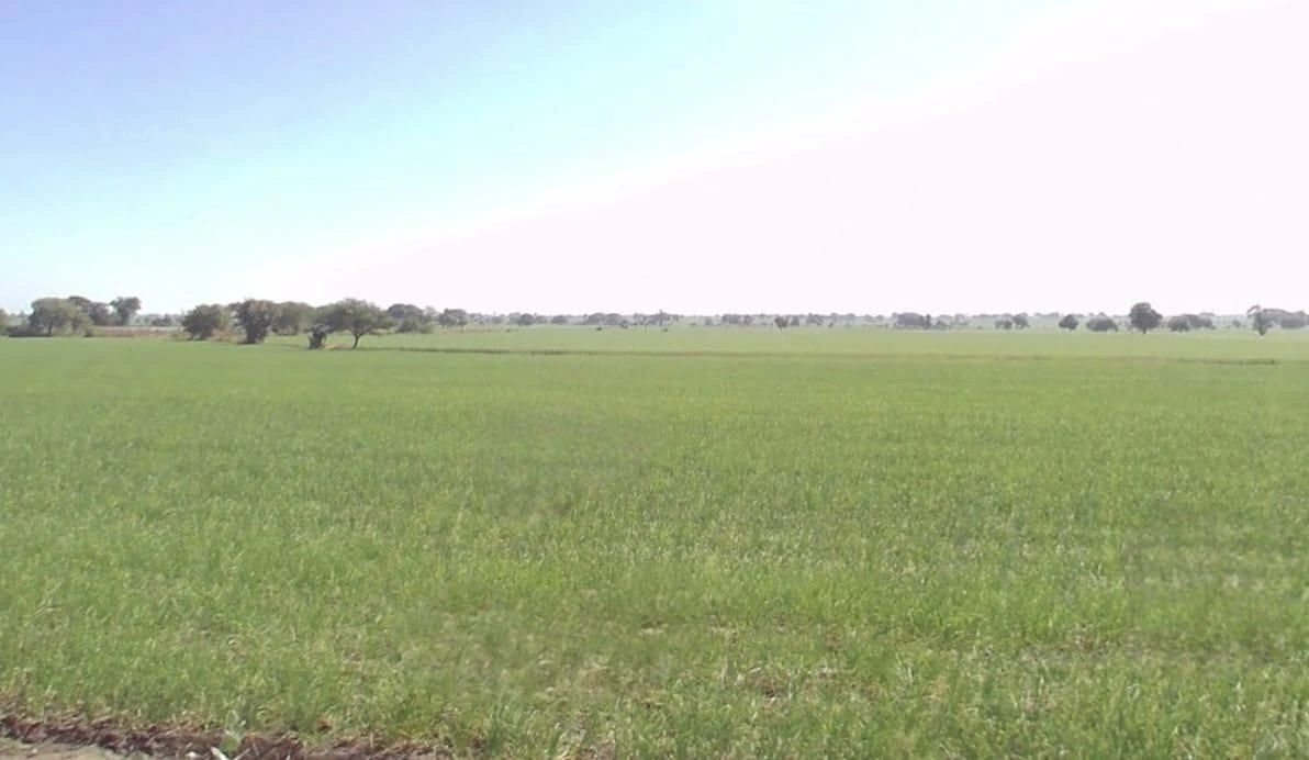 Dakachya, Madhya Pradesh 453771, India