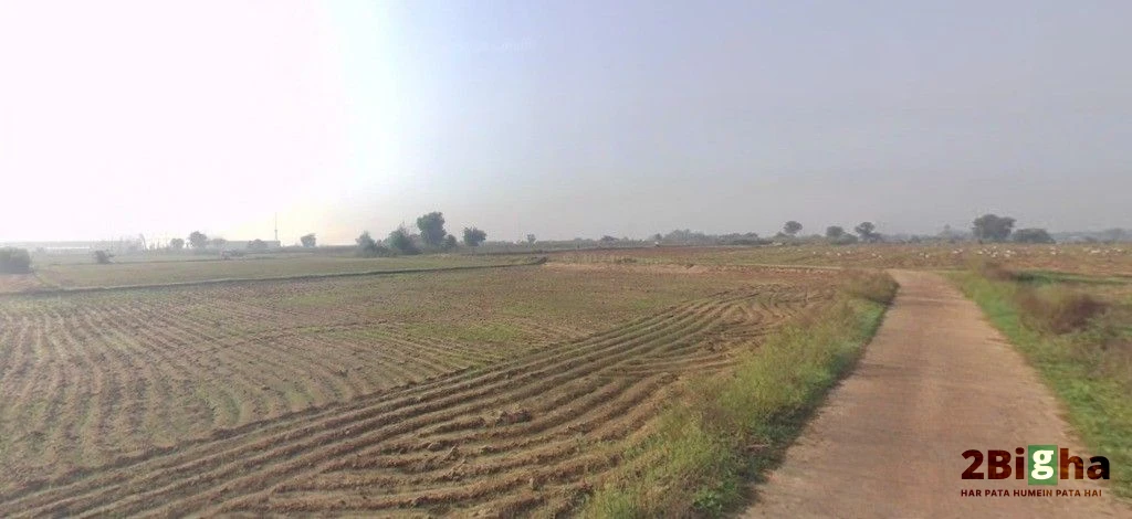 Garhi, Haryana 126116, India
