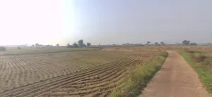 Garhi, Haryana 126116, India preview 3