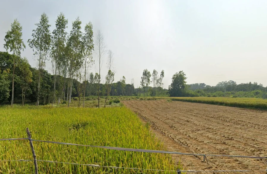 Sohawal, Uttar Pradesh, India