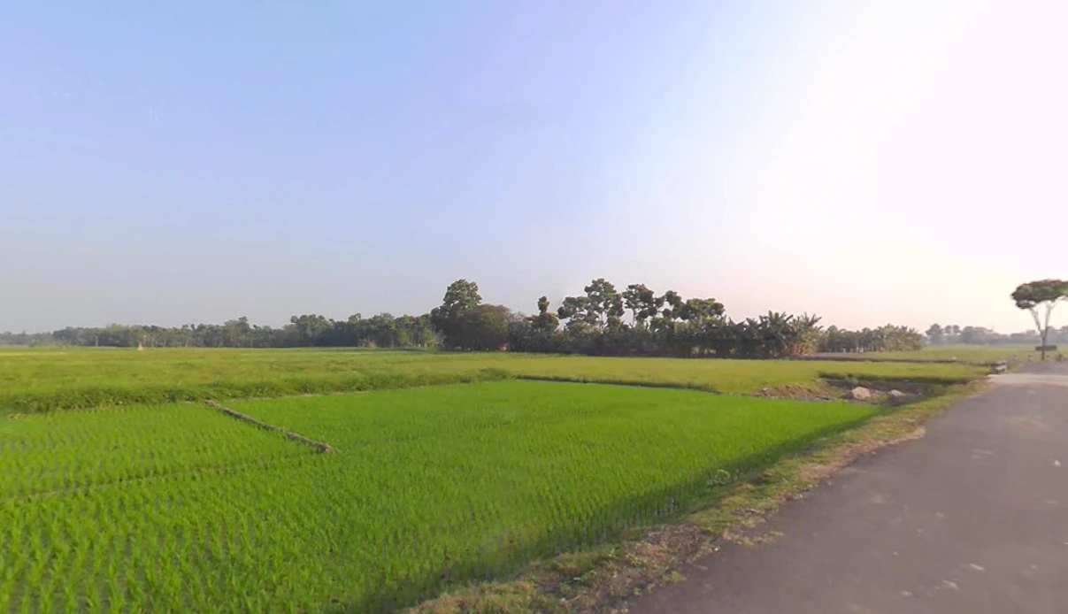 Street 634, more, near akhanka, AA IIC, Newtown, Kolkata, New Town, West Bengal 700161, India