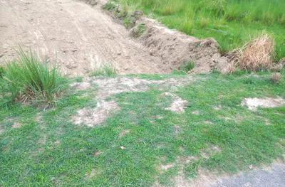 HQXV+J9X, Keoni, Uttar Pradesh 209859, India preview 5