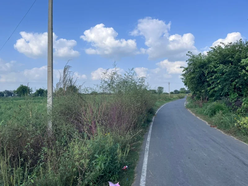 WH3F+G74, Khedaro Ki Dhani, Rajasthan 333022, India preview 2