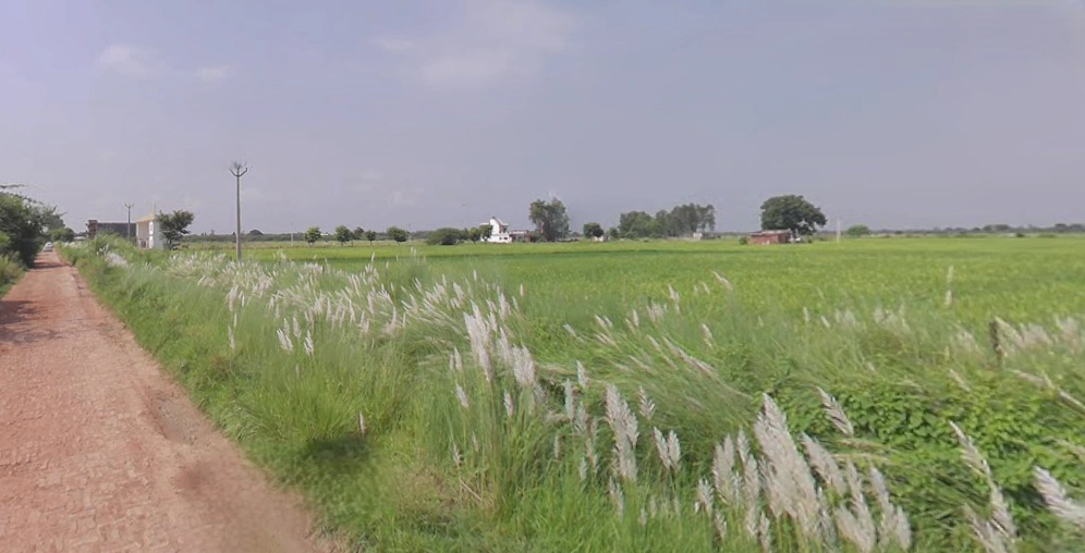 Purseni, Uttar Pradesh 226301, India