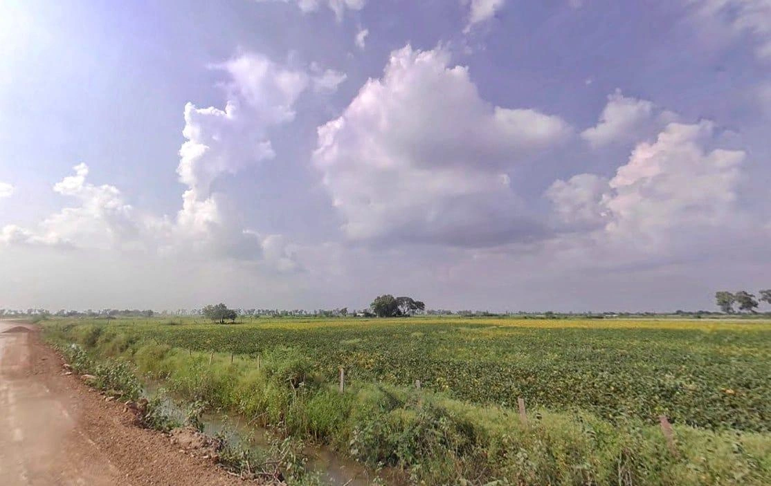 Badakhera, Rajasthan 323603, India