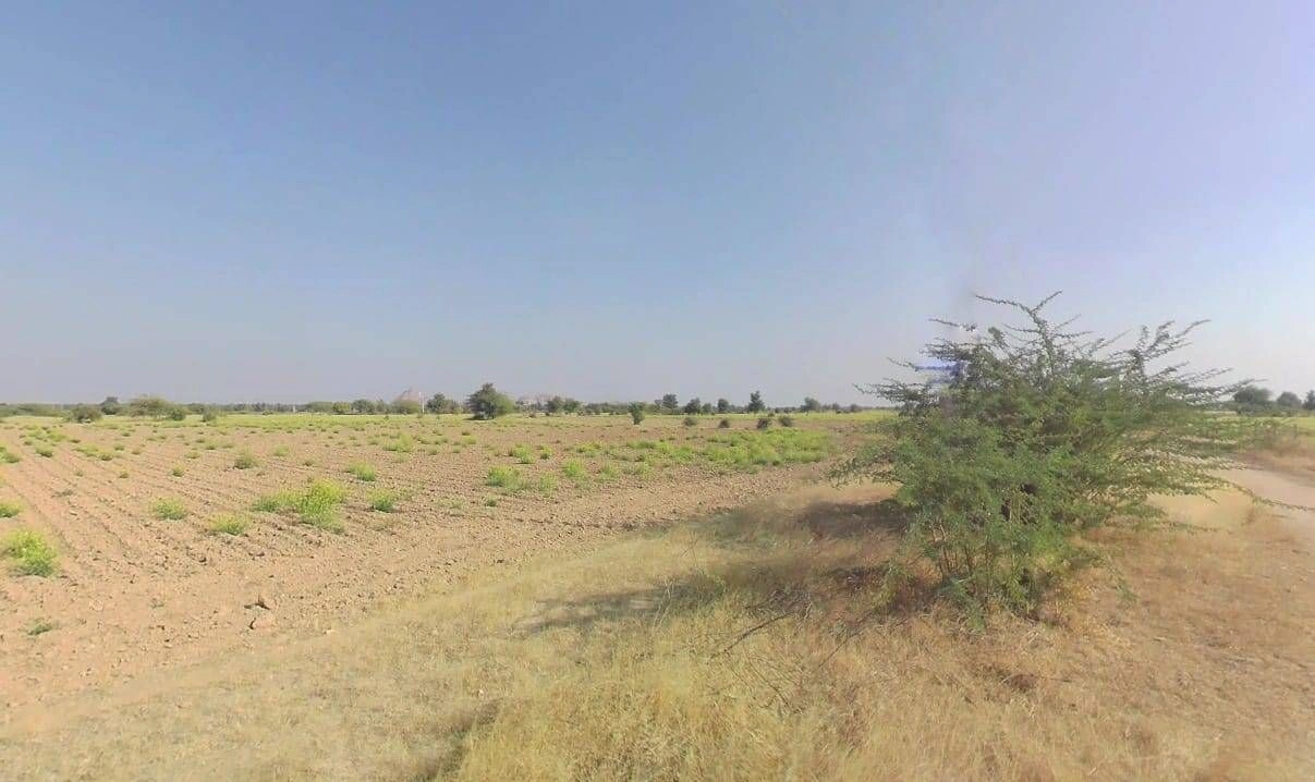 V5VM+4G7, Bandai, Rajasthan 306421, India