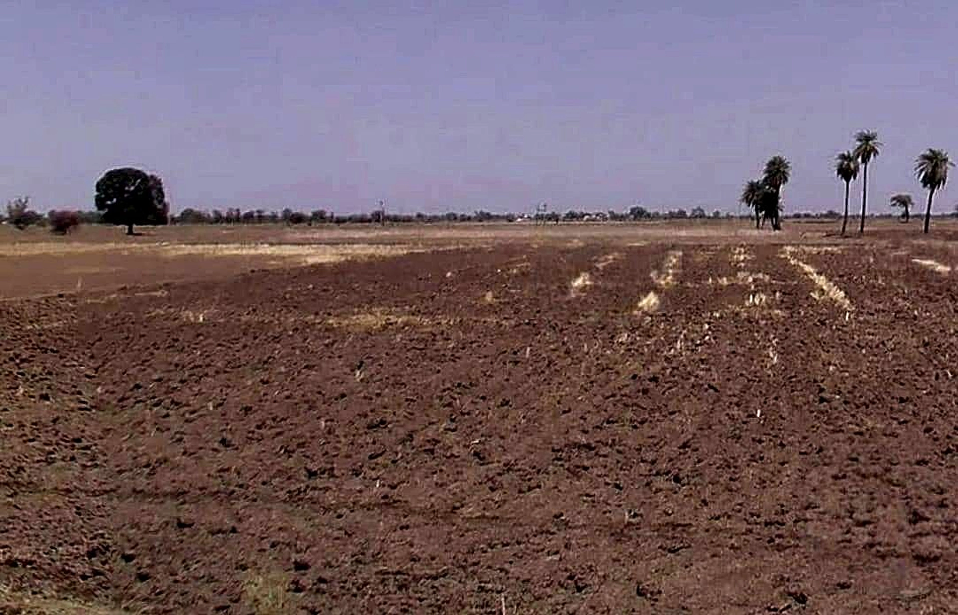 Burhar, Madhya Pradesh, India