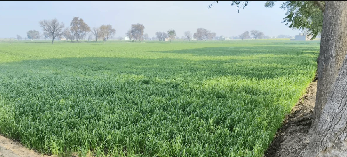 Mana, Chhattisgarh, India