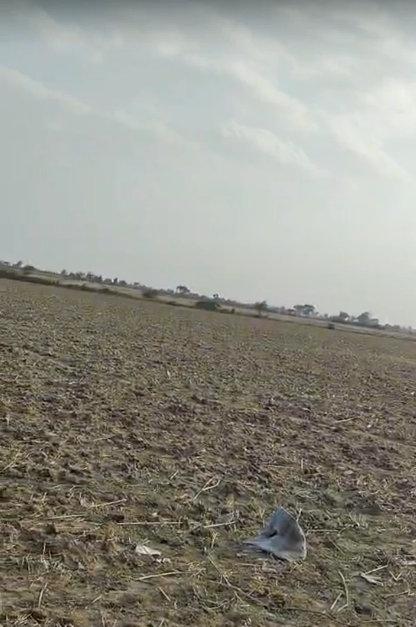 Baseri, Rajasthan 328022, India