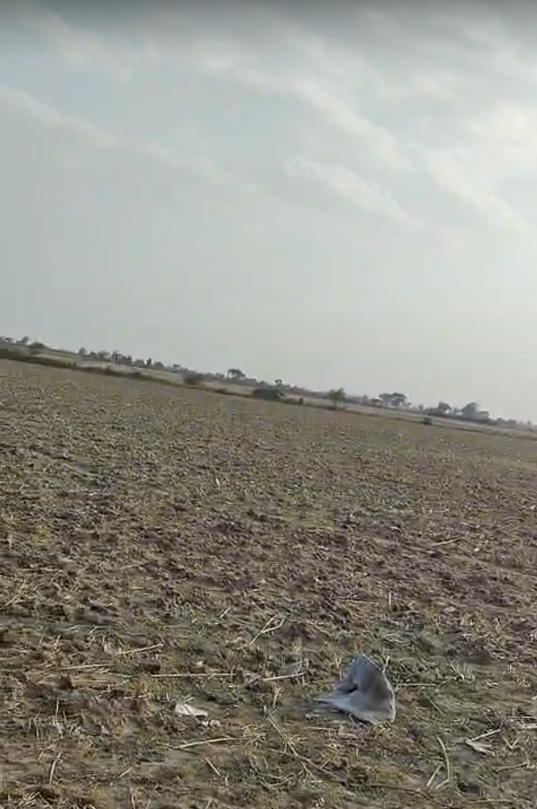 Baseri, Rajasthan 328022, India