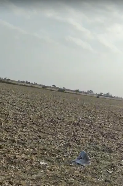 Baseri, Rajasthan 328022, India preview 2