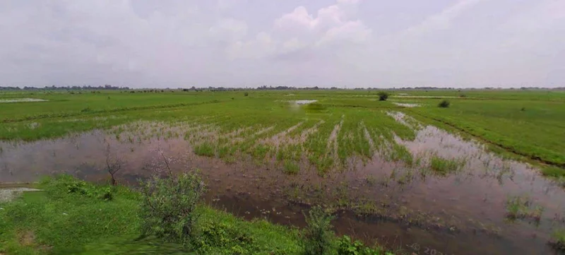 Satna Byp Rd, Trichi Colony, Satna, Madhya Pradesh, India preview 3