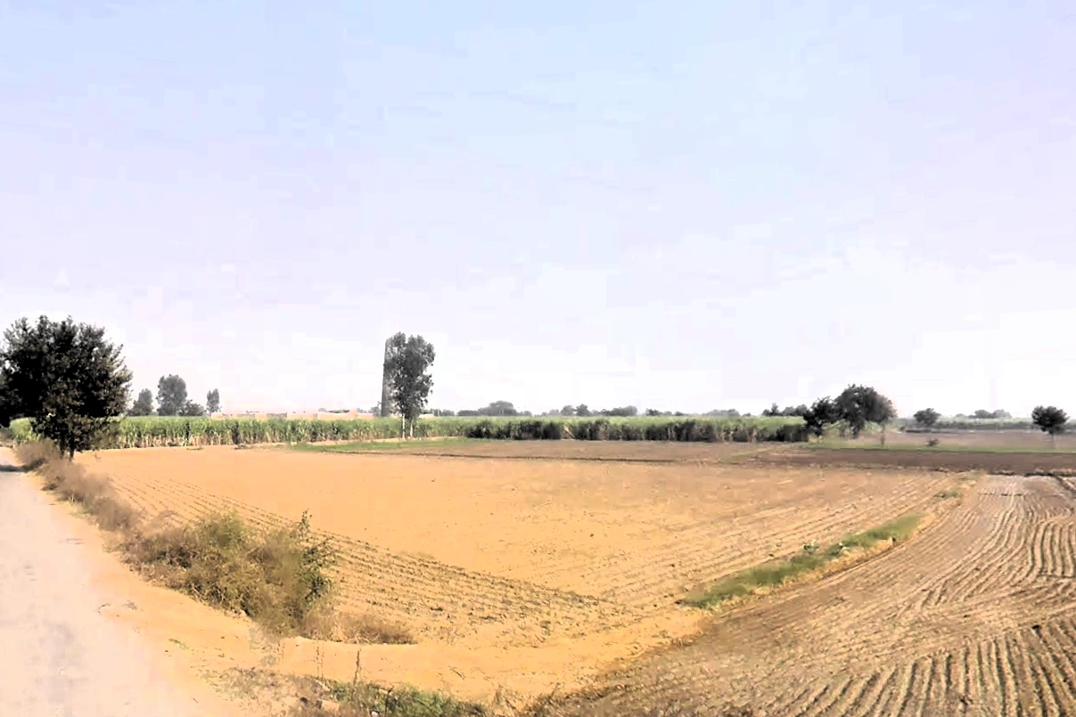 Beri, Haryana 124201, India