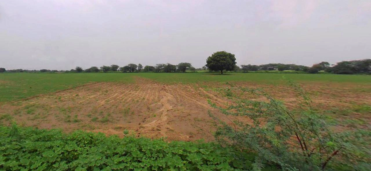 Haridwar, Uttarakhand, India