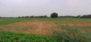 Haridwar, Uttarakhand, India preview 2