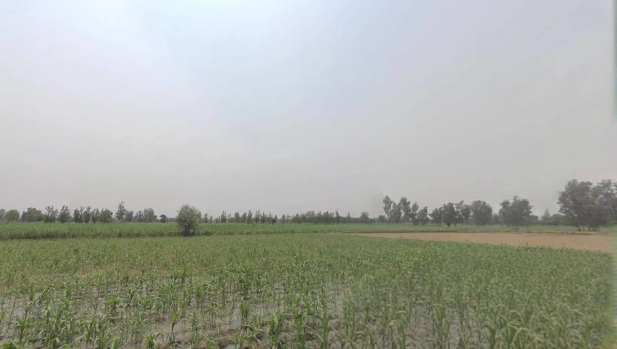 Sagar, Madhya Pradesh, India