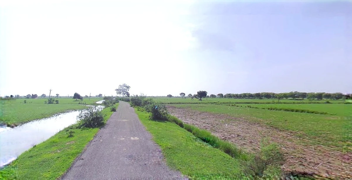 Rohtak, Haryana, India