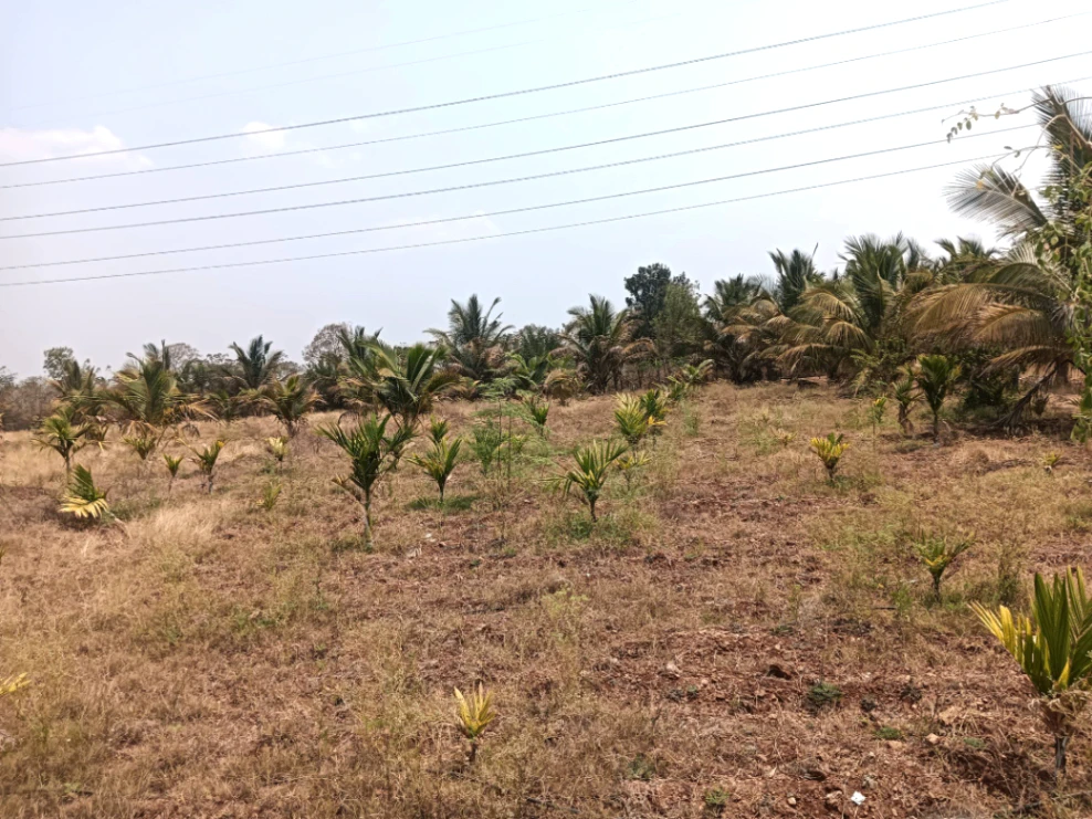 Hiriyur, Karnataka, India