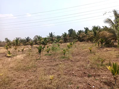 Hiriyur, Karnataka, India preview 2