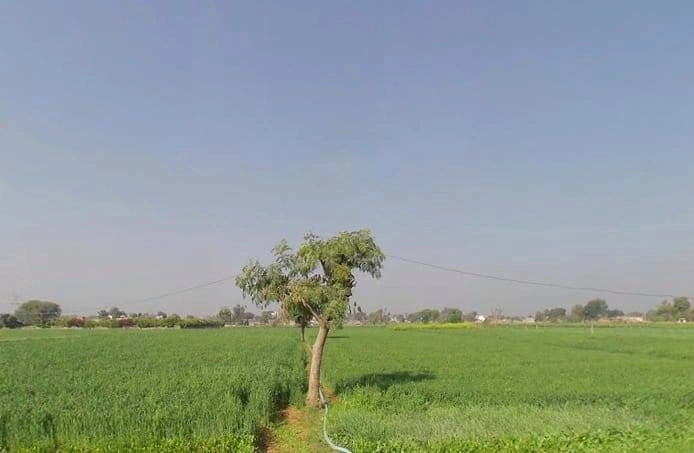 Bhaktal, Alwar, Rajasthan, India