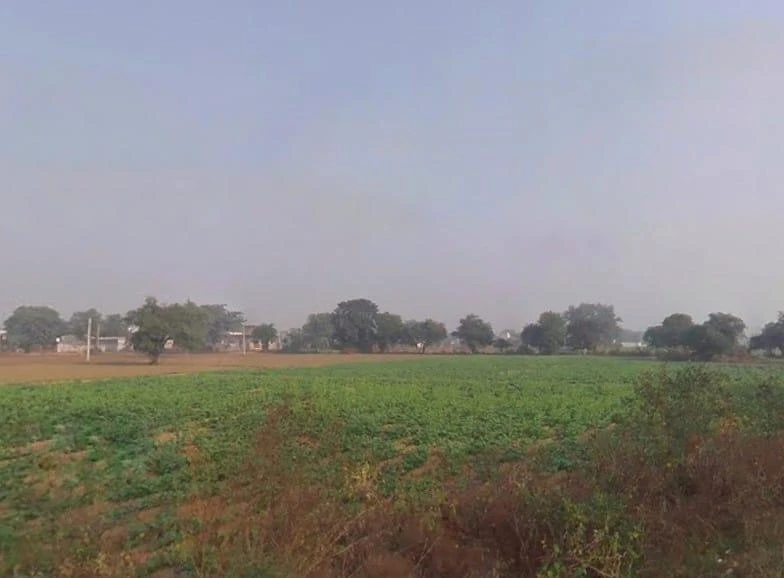 Chamroda, Rajasthan 301405, India
