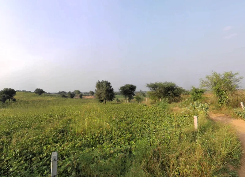 Siwani, Haryana 127046, India preview 2