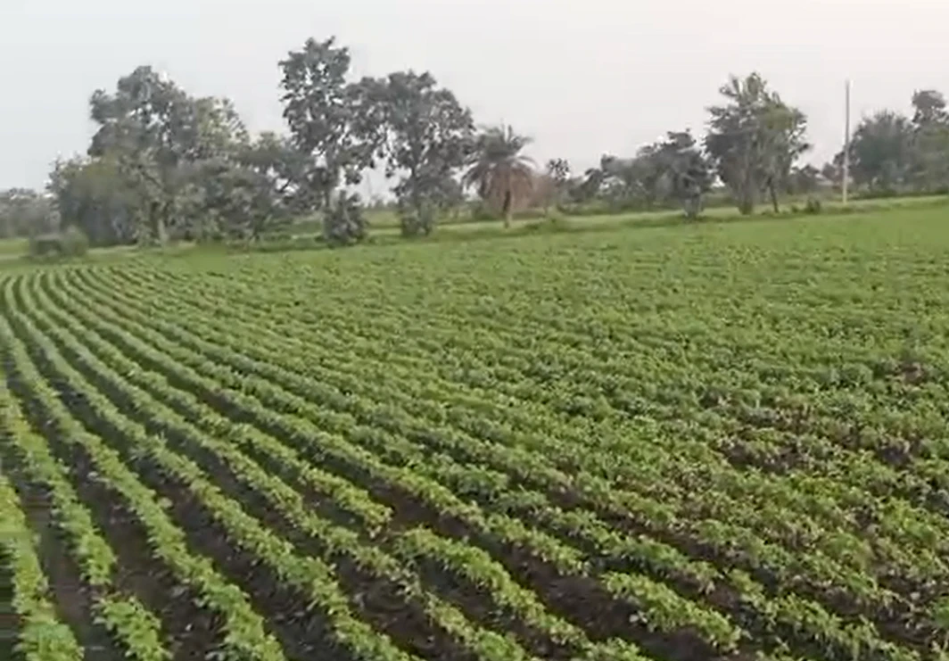 57PW+RG Bardu, Dewas, Madhya Pradesh, India