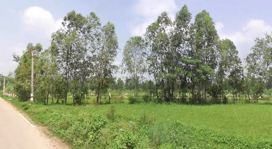 Jaitpur Kalan, Uttar Pradesh 247129, India