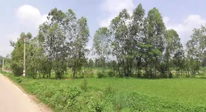 Jaitpur Kalan, Uttar Pradesh 247129, India preview 3