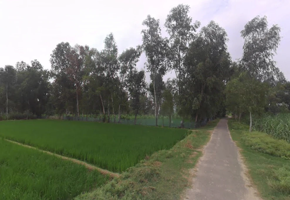 Deoie, Uttar Pradesh 224189, India