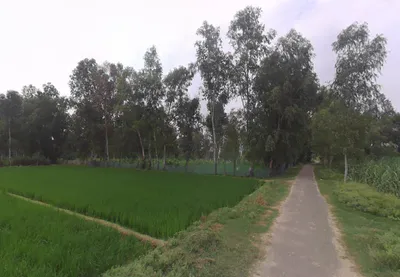 Deoie, Uttar Pradesh 224189, India preview 2