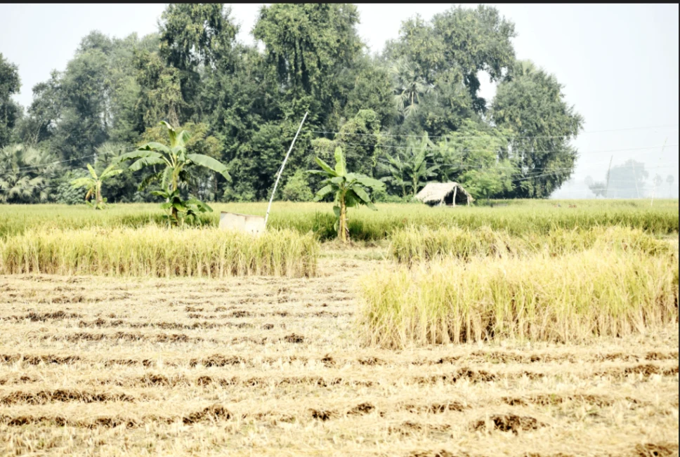Garhi, Madhya Pradesh 464884, India