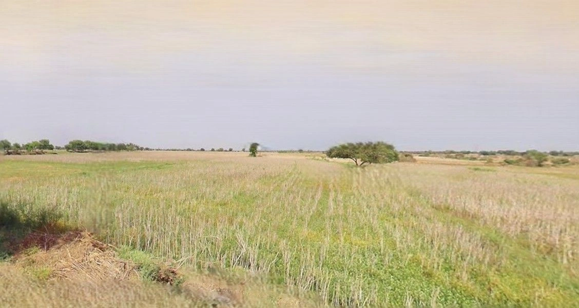 Bazpur, Uttarakhand 262401, India